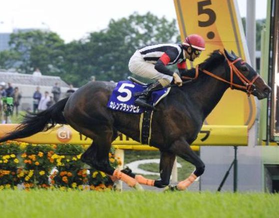 浅次郎競馬 Com 浅次郎競馬 Com